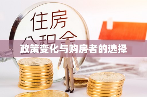 路南政策变化与购房者的选择