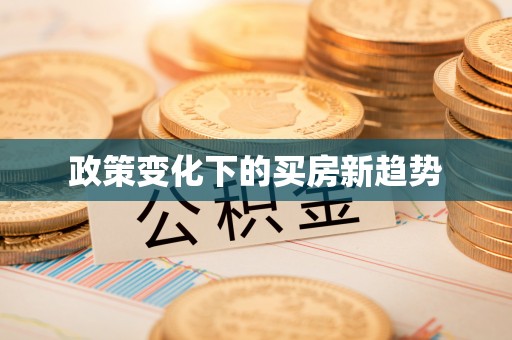 路南政策变化下的买房新趋势