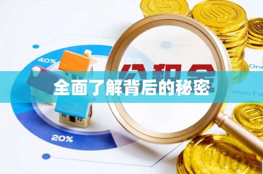 路南全面了解背后的秘密