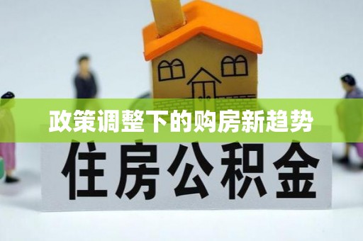 路南政策调整下的购房新趋势