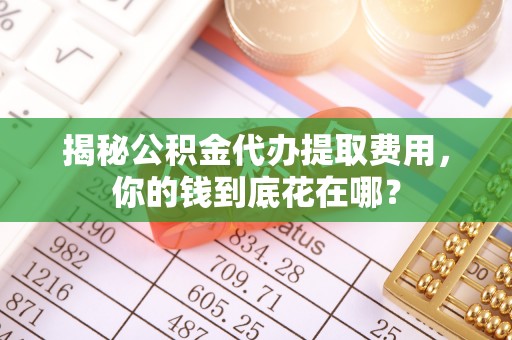 路南揭秘公积金代办提取费用，你的钱到底花在哪？