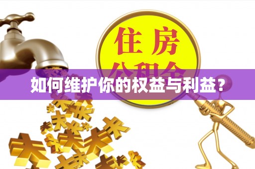 路南如何维护你的权益与利益？