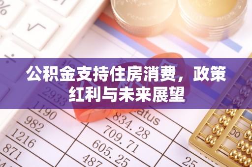 路南公积金支持住房消费，政策红利与未来展望