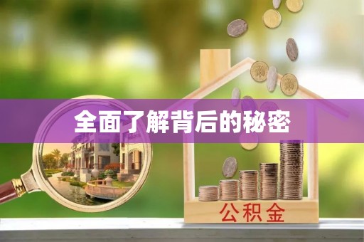 路南全面了解背后的秘密