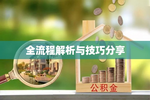 路南全流程解析与技巧分享
