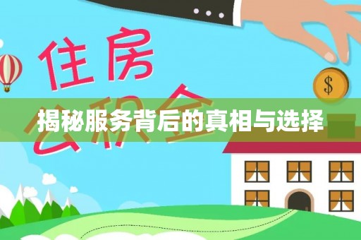 路南揭秘服务背后的真相与选择