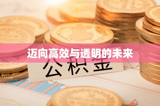 路南迈向高效与透明的未来